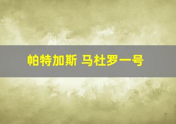 帕特加斯 马杜罗一号